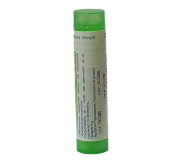 ARNICA MONTANA 5 CH